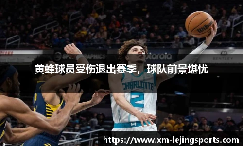 黄蜂球员受伤退出赛季，球队前景堪忧